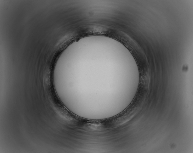 X0000102020552200808081751