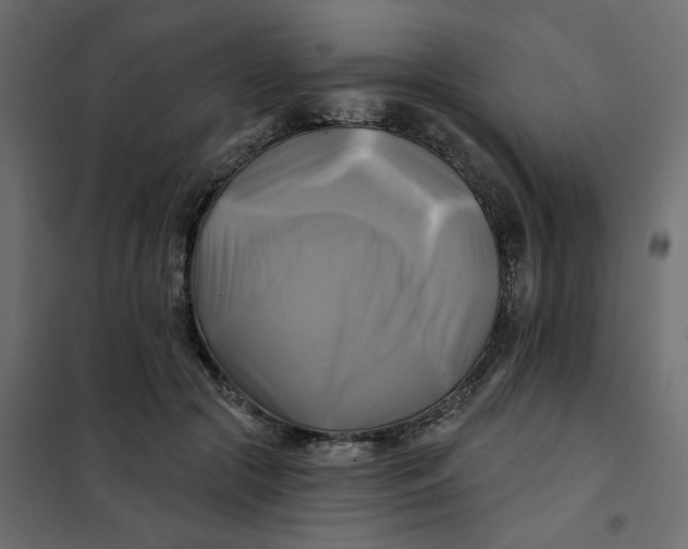 X0000102020553200808081751
