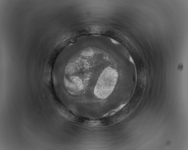 X0000102020554200808081751