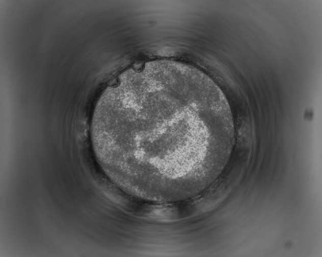 X0000102020555200808081751