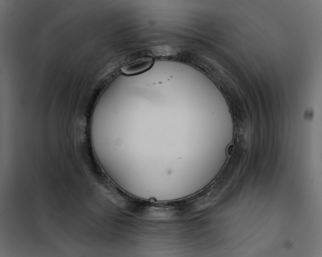 X0000102020556200808081751