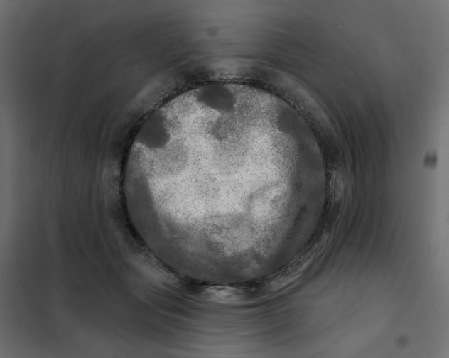 X0000102020557200808081751