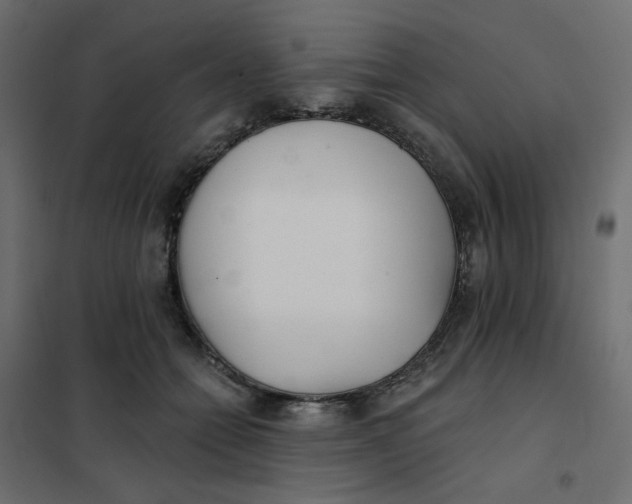 X0000102020558200808081751