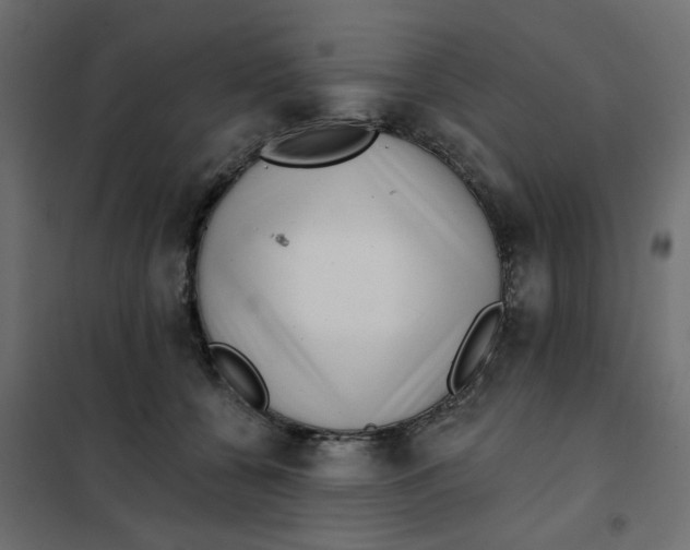 X0000102020560200808081751