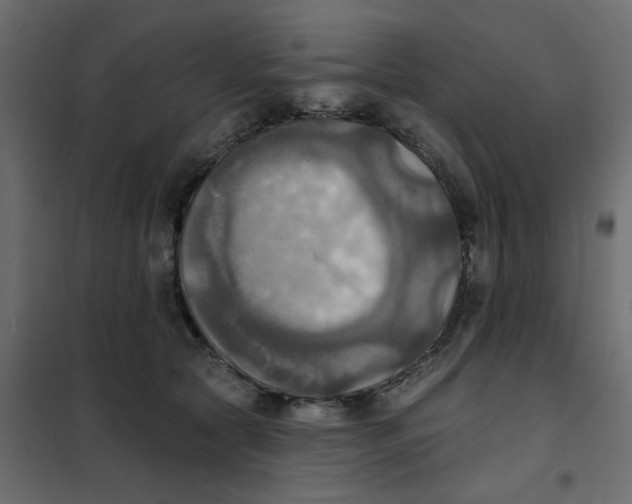 X0000102020561200808081751