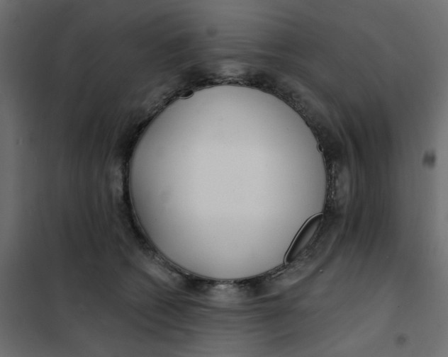 X0000102020562200808081751