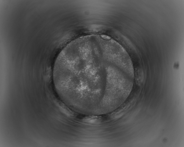 X0000102020563200808081751