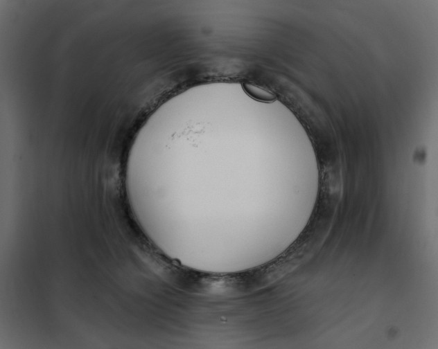 X0000102020564200808081751