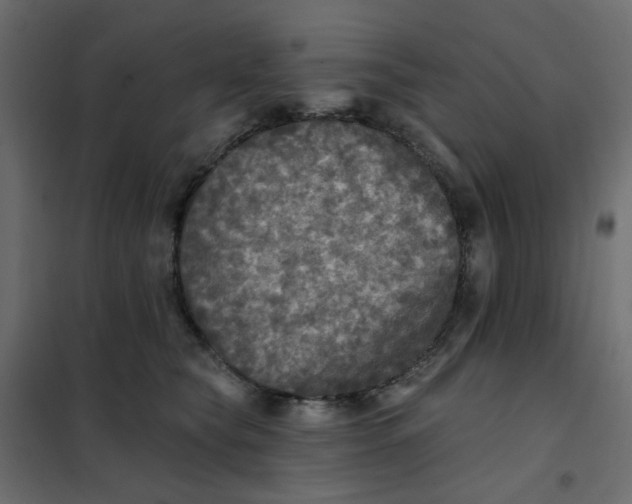 X0000102020565200808081751