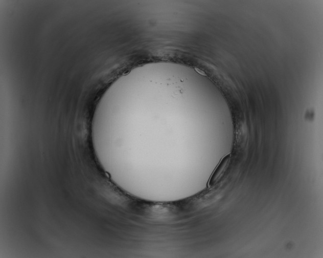 X0000102020566200808081751