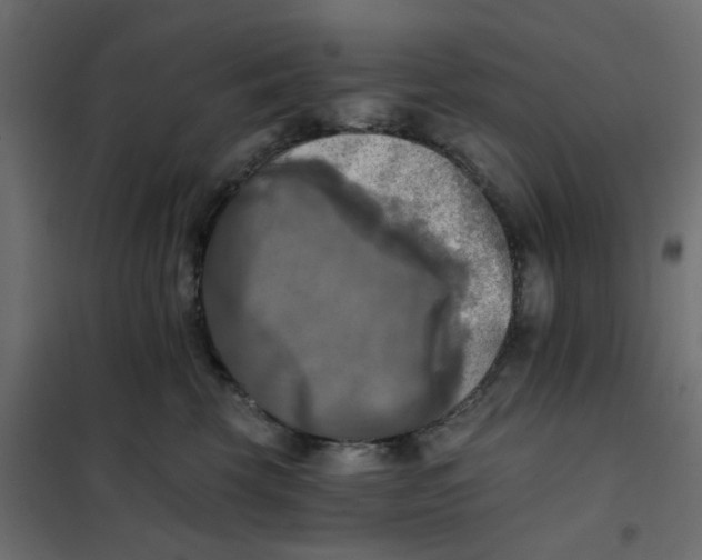 X0000102020569200808081751
