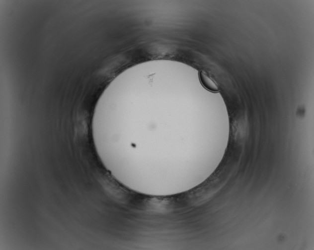 X0000102020570200808081751