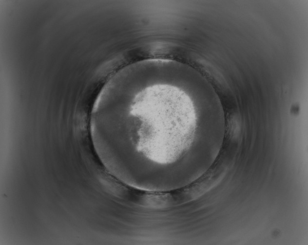 X0000102020571200808081751