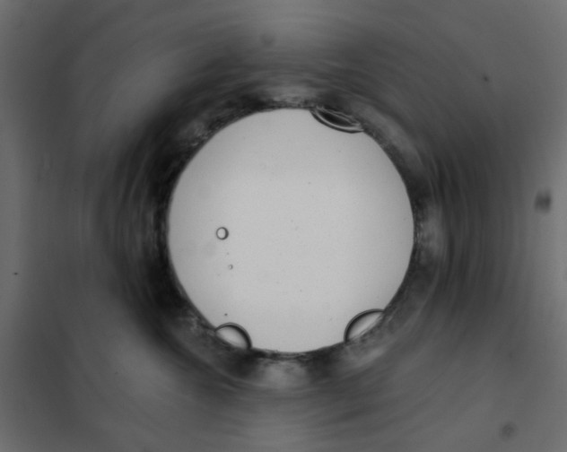 X0000102020572200808081751