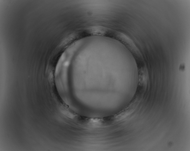 X0000102020573200808081751