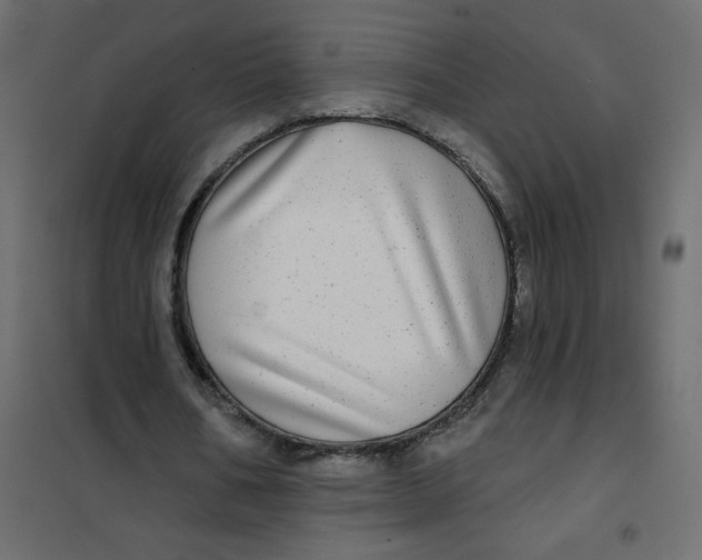 X0000102020578200808081751
