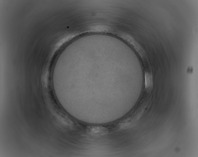 X0000102020579200808081751