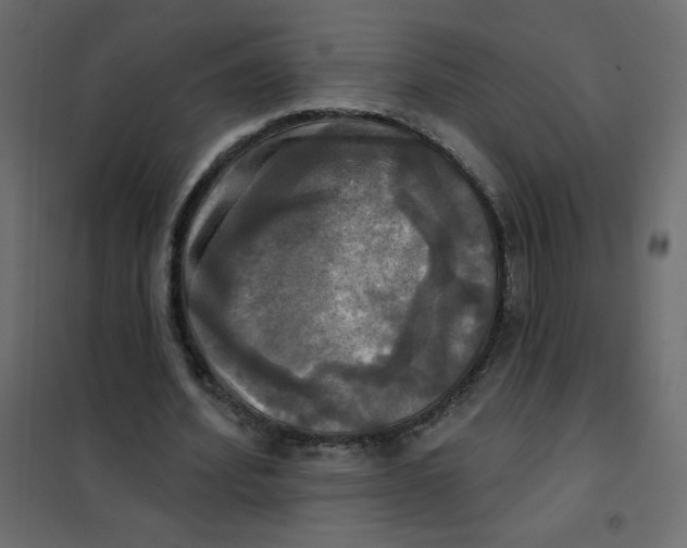 X0000102020580200808081751
