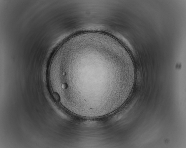 X0000102020581200808081751