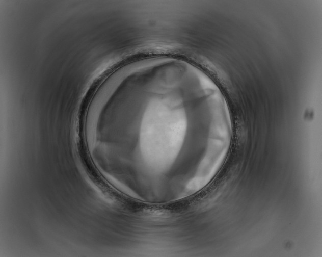 X0000102020582200808081751
