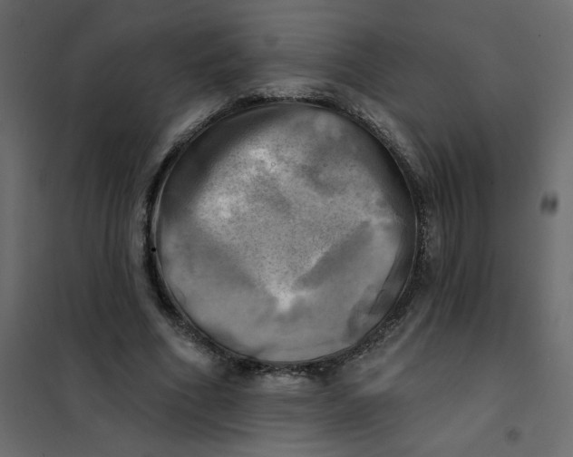 X0000102020586200808081750