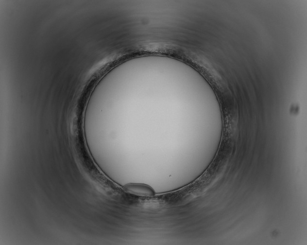 X0000102020587200808081750