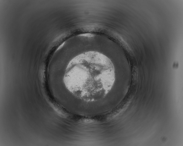 X0000102020590200808081750