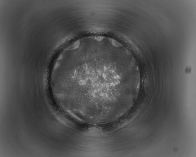 X0000102020591200808081750