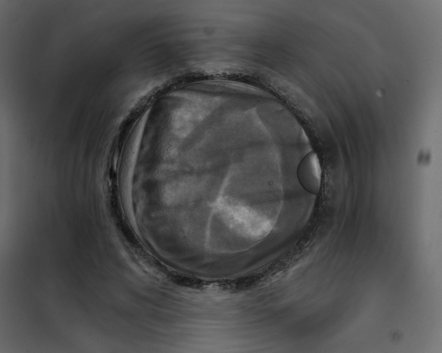X0000102020592200808081750