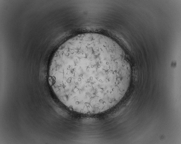 X0000102020593200808081750