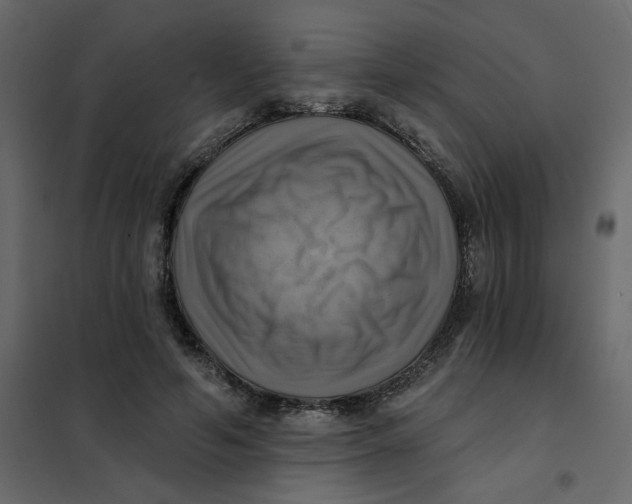 X0000102020594200808081750