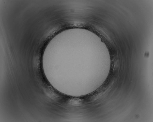X0000102020595200808081750
