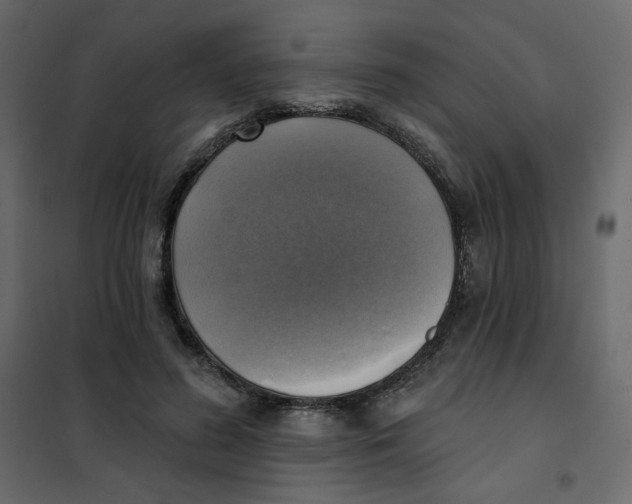 X0000102020596200808081750