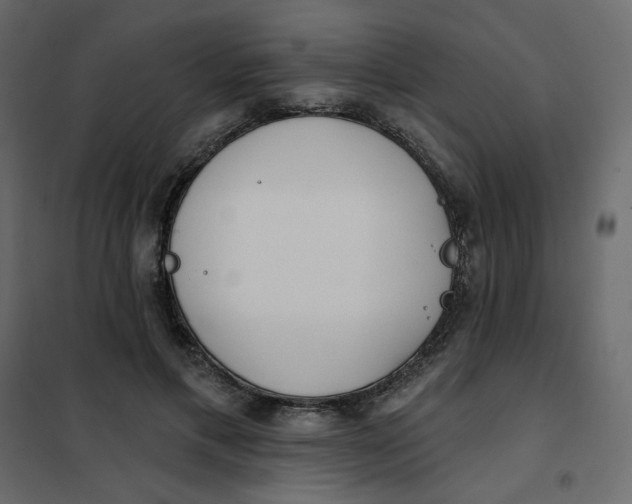 X0000102020597200808081750