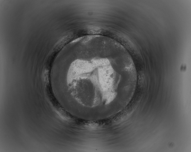 X0000102020598200808081750
