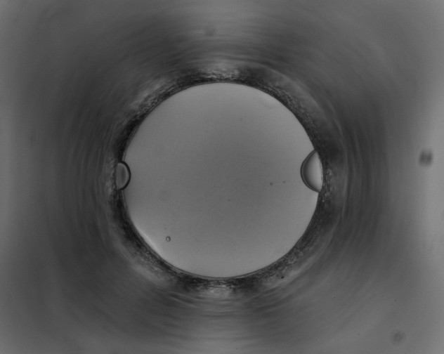 X0000102020600200808081750