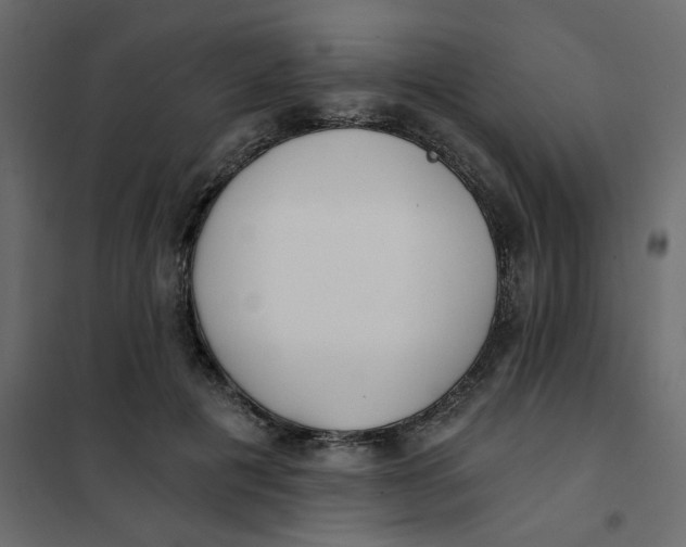 X0000102020601200808081750