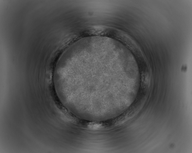 X0000102020602200808081750