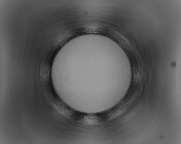 X0000102020603200808081750