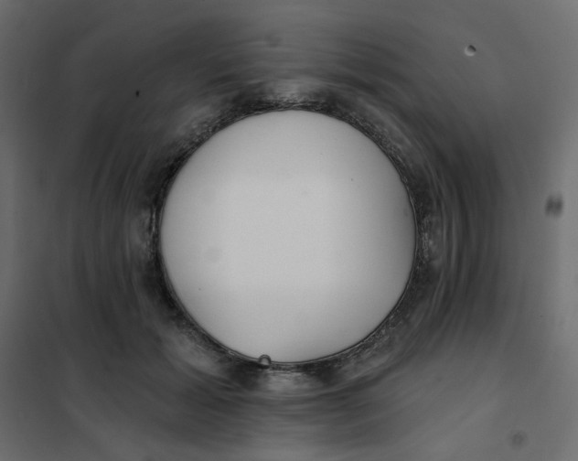 X0000102020605200808081750