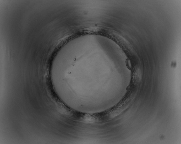 X0000102020608200808081750