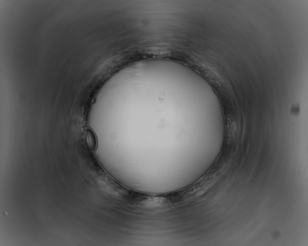 X0000102020609200808081750
