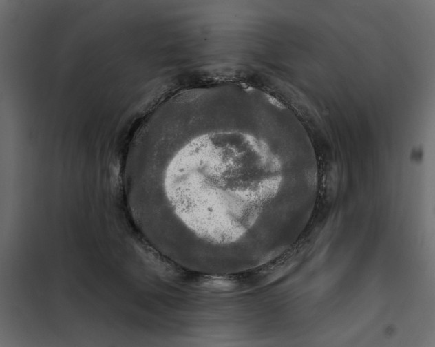X0000102020610200808081750