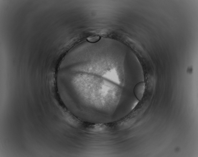 X0000102020612200808081750