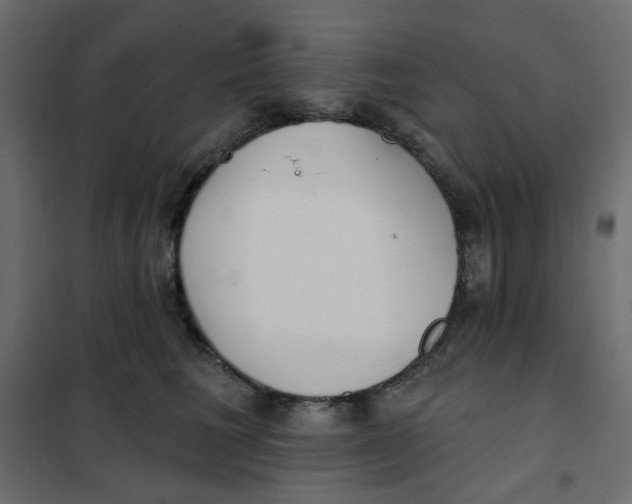 X0000102020613200808081750