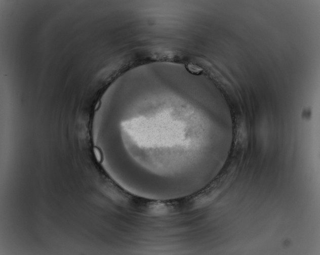 X0000102020616200808081750