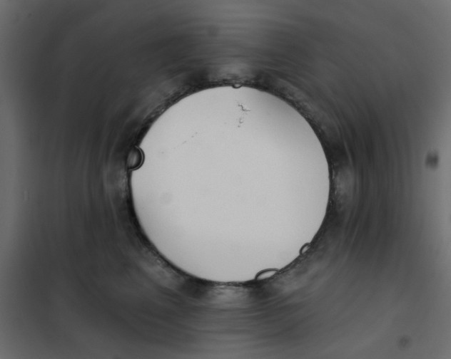 X0000102020617200808081750