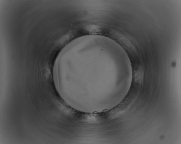 X0000102020618200808081750