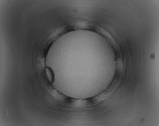 X0000102020621200808081750