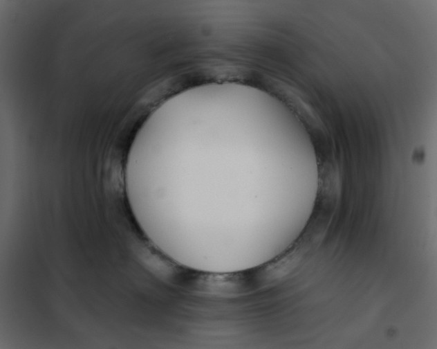 X0000102020622200808081750